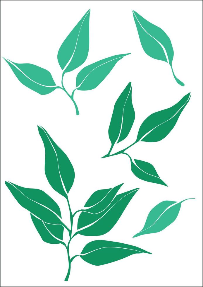 set of green leaves and twigs. Nature elements for any design. Illustration in a flat style. vector