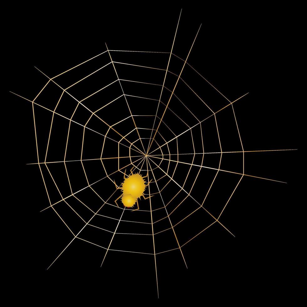 shaggy spider on a web on black by silhouette vector