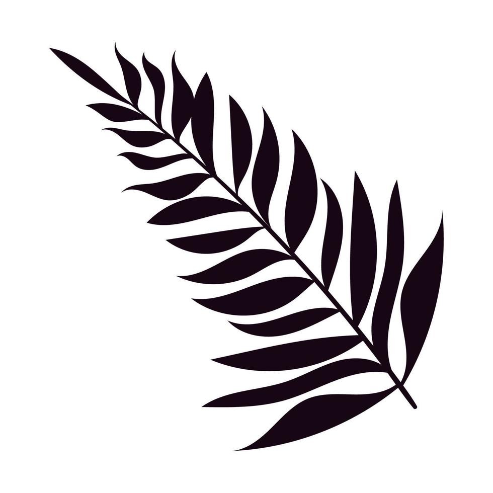 palm tropical leaf silhouette vector