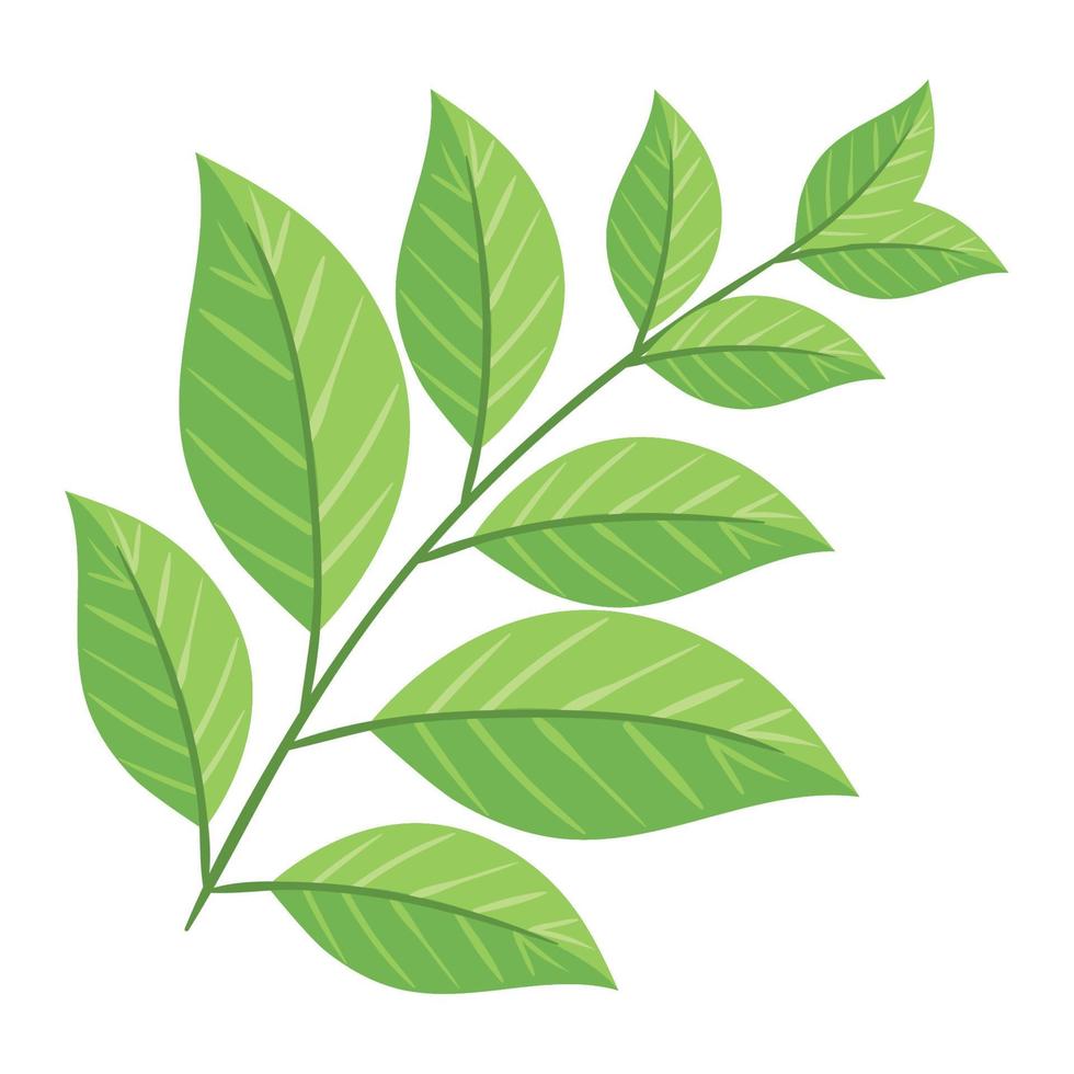 green branch plant vector