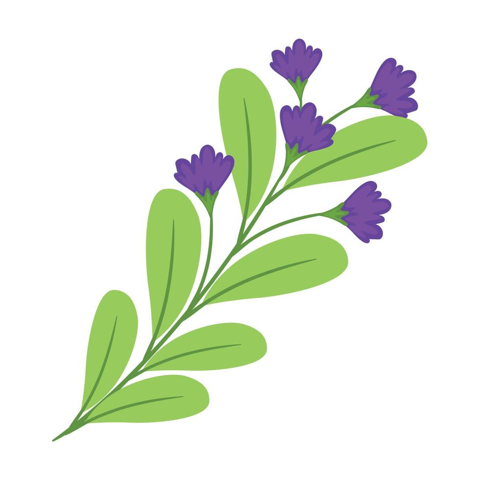 branch with purple flowers vector