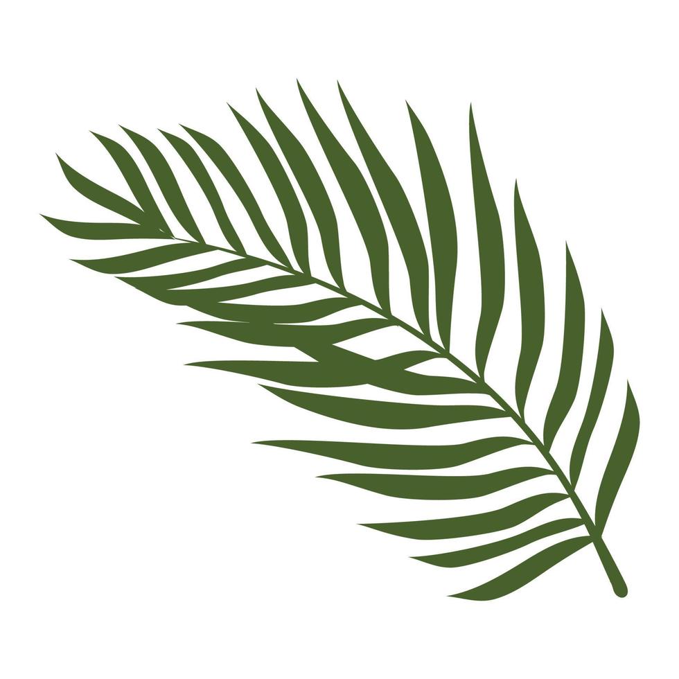 palm leaf plant foliage vector