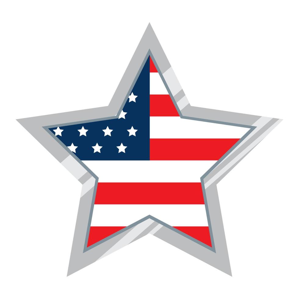 star with usa flag vector
