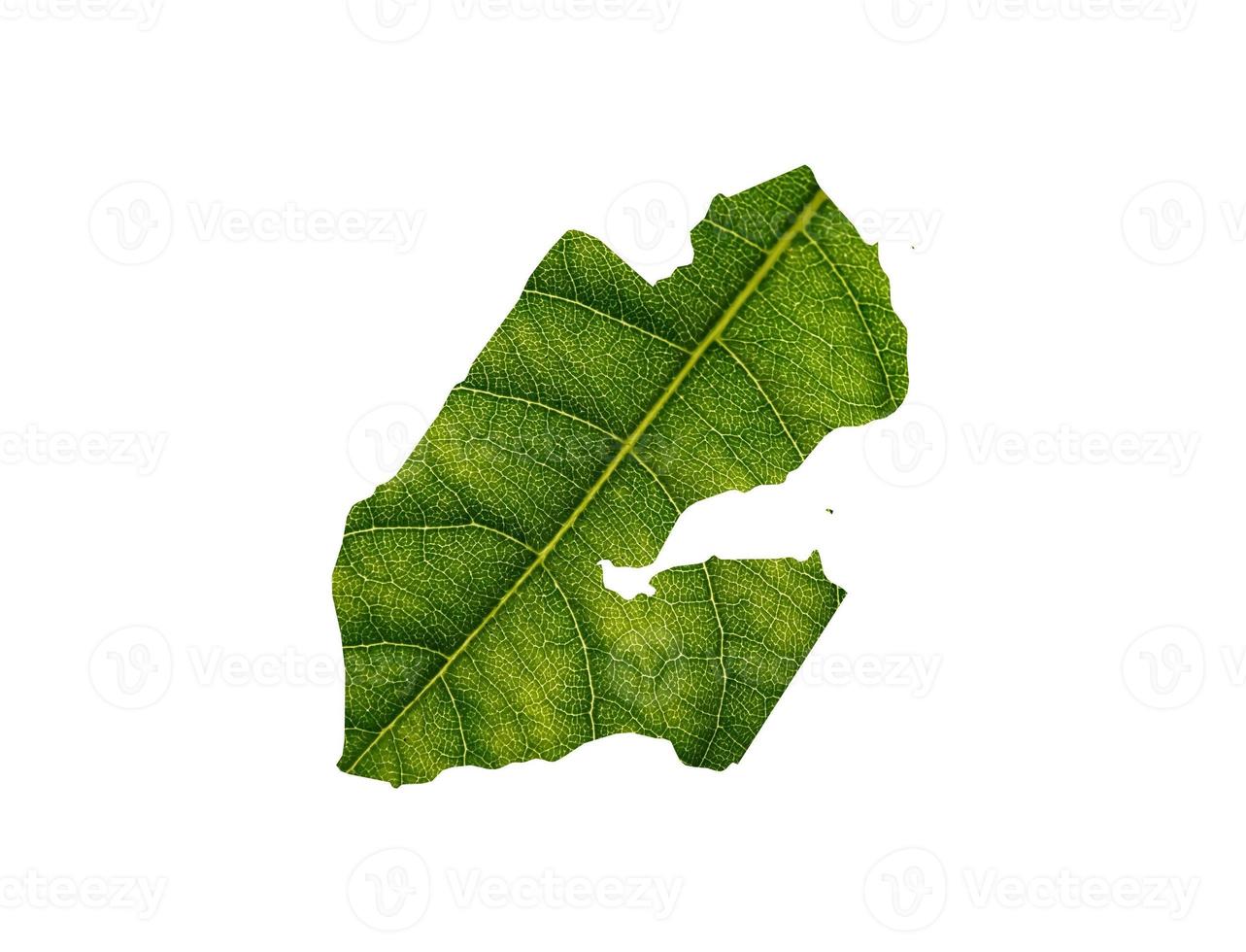 Djibouti map made of green leaves on soil background ecology concept photo