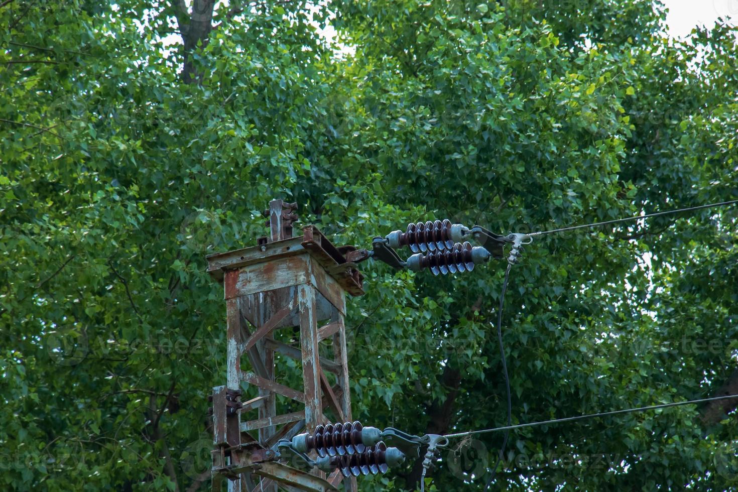 Power lines on the background of green foliage of trees. photo