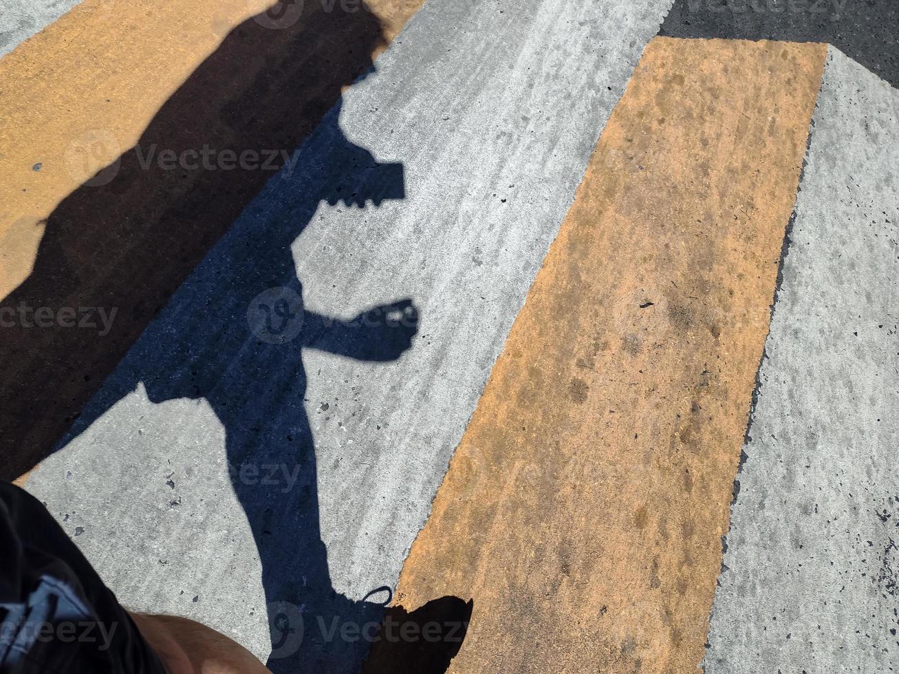Walking the zebra photo