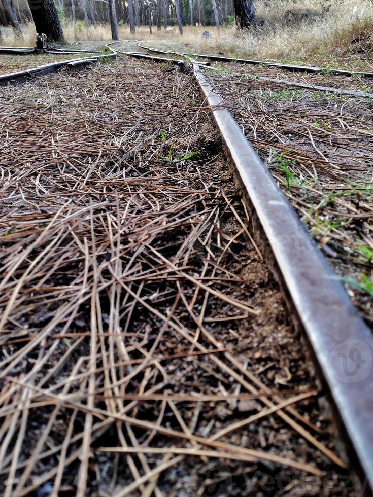 Railroad cross in the woods photo
