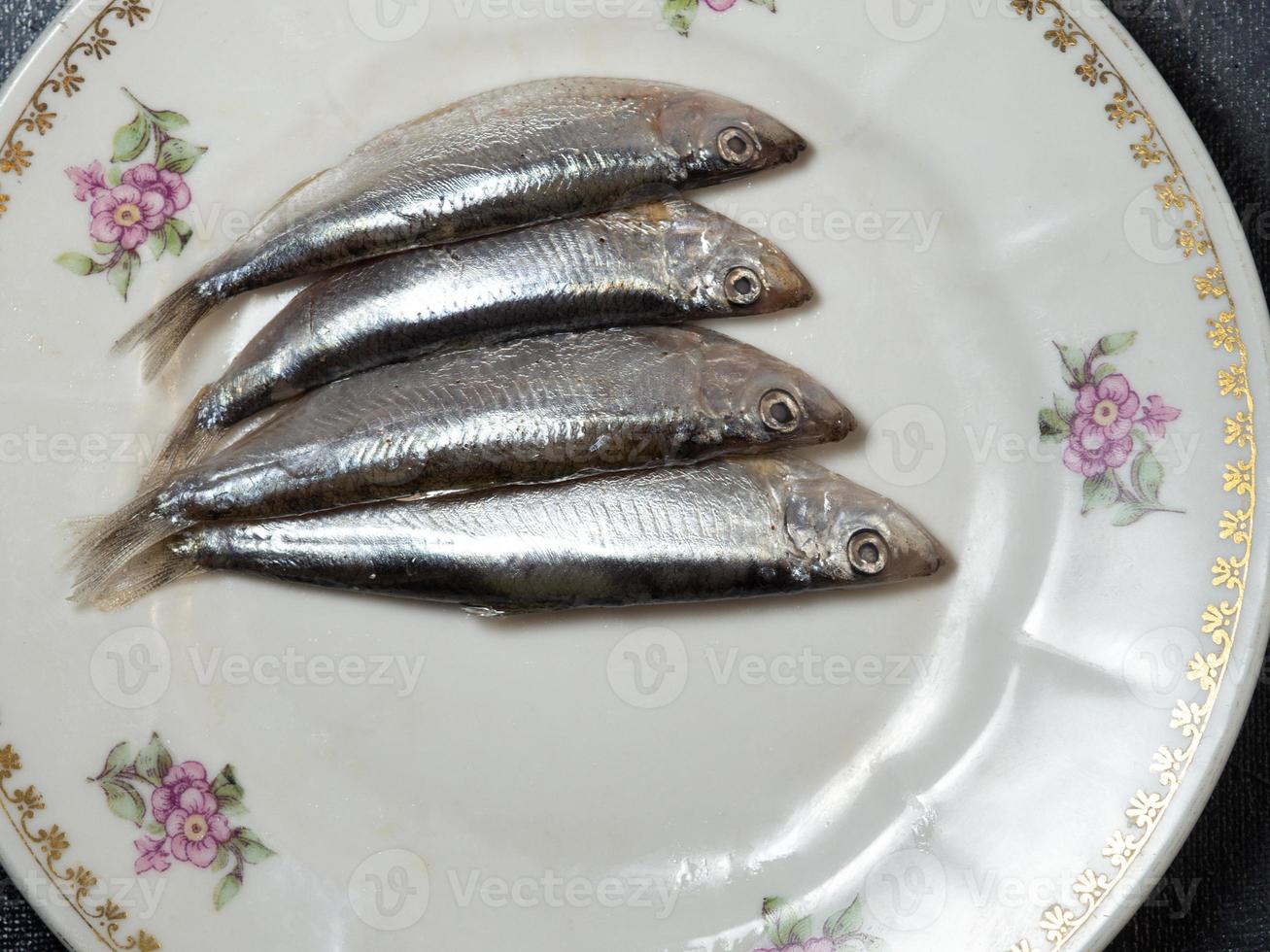 Lightly salted sprat on a porcelain plate. Whole small fish on the table. photo