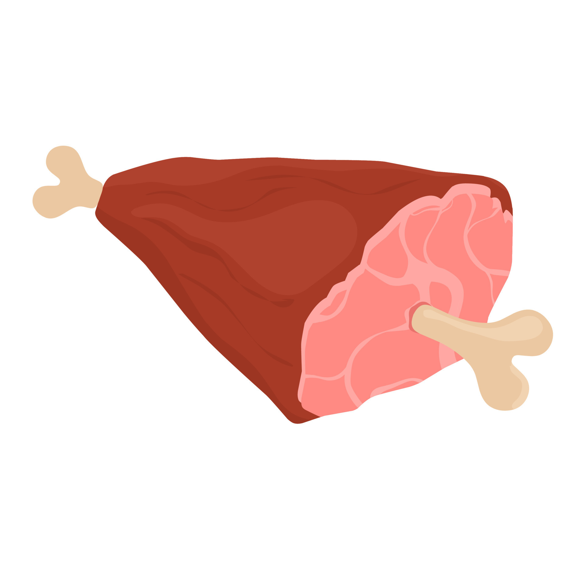 Vector illustration of meat on a bone. Raw red beef. Great for barbecue
