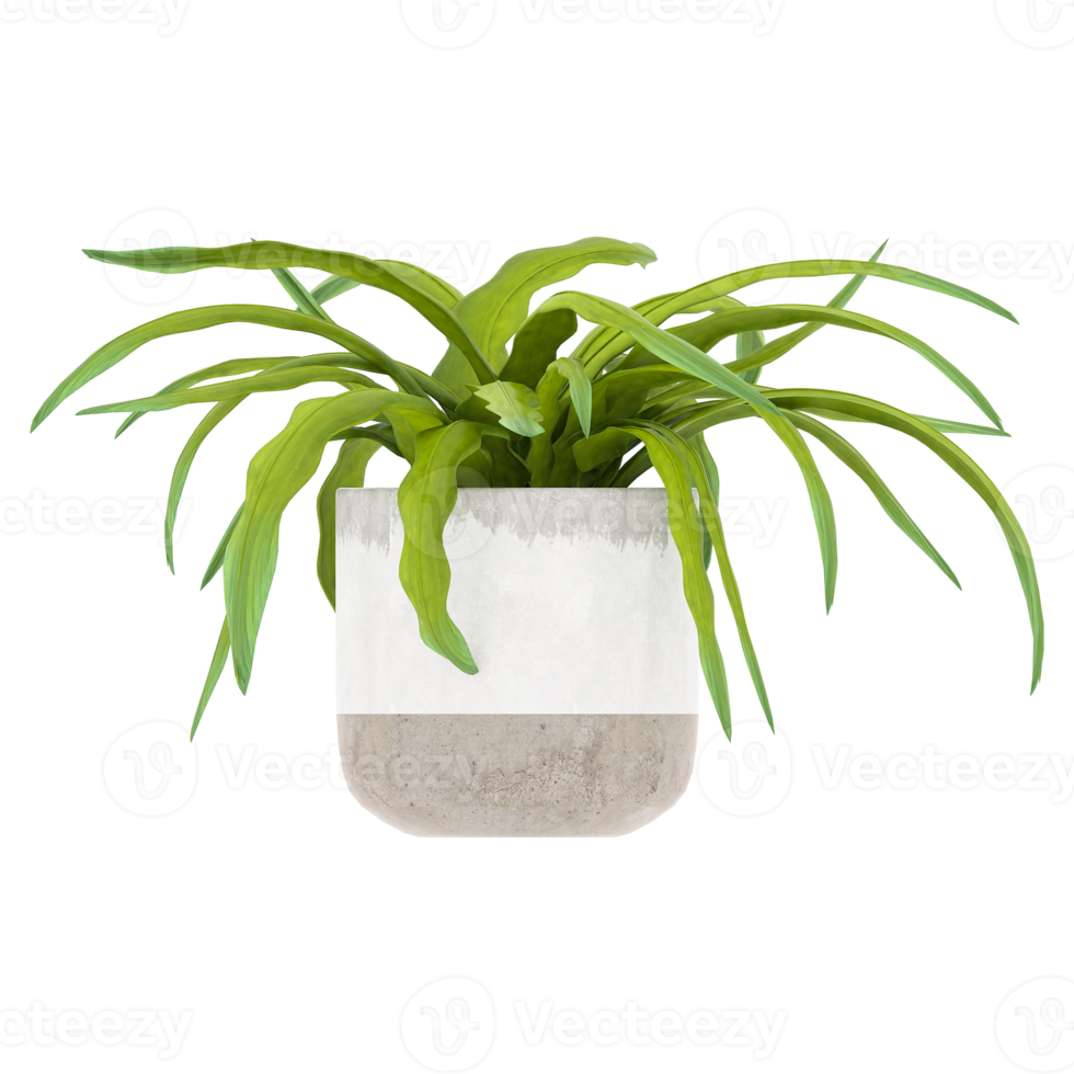 3D illustration green plant in pot png