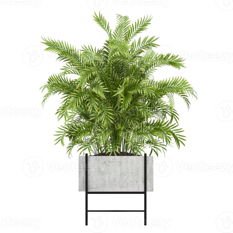 3D illustration green plant in pot png