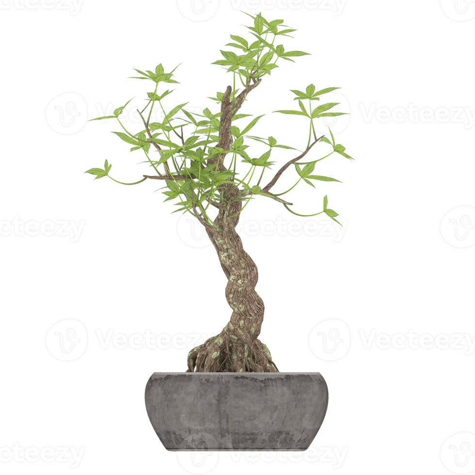 3D illustration green plant in pot png