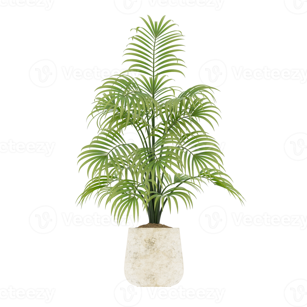 3D illustration green plant in pot png