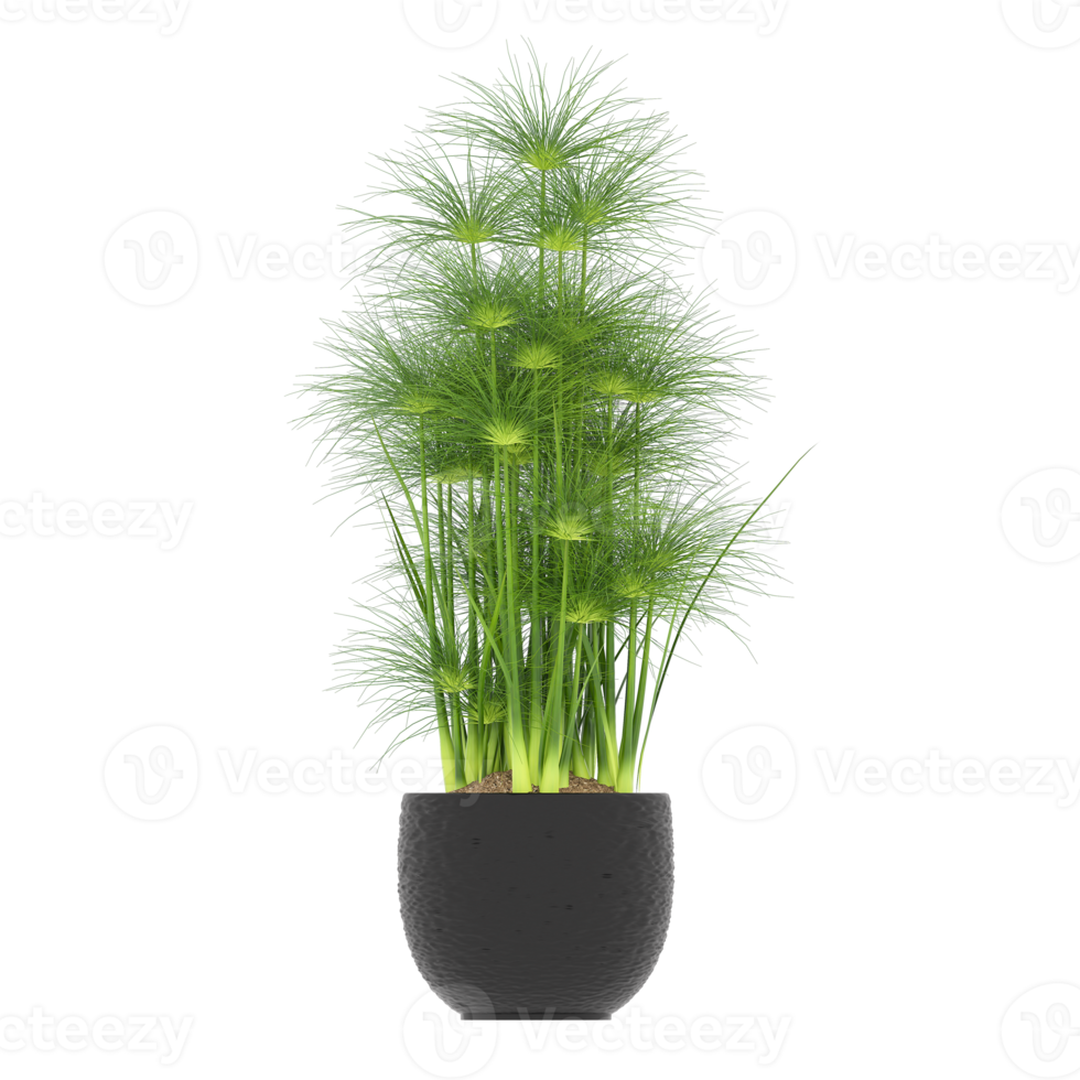 3D illustration green plant in pot png