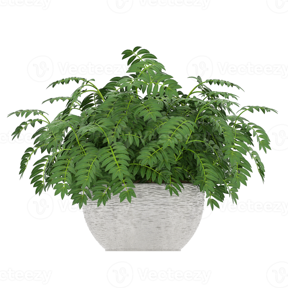 3D illustration green plant in pot png