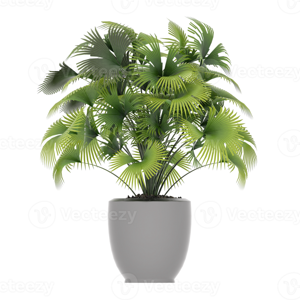 3D illustration green plant in pot png