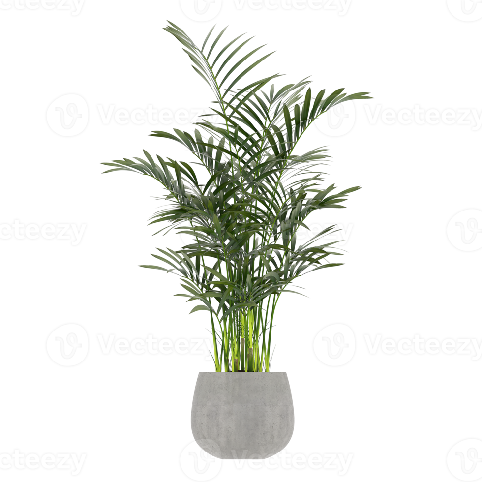 3D illustration green plant in pot png