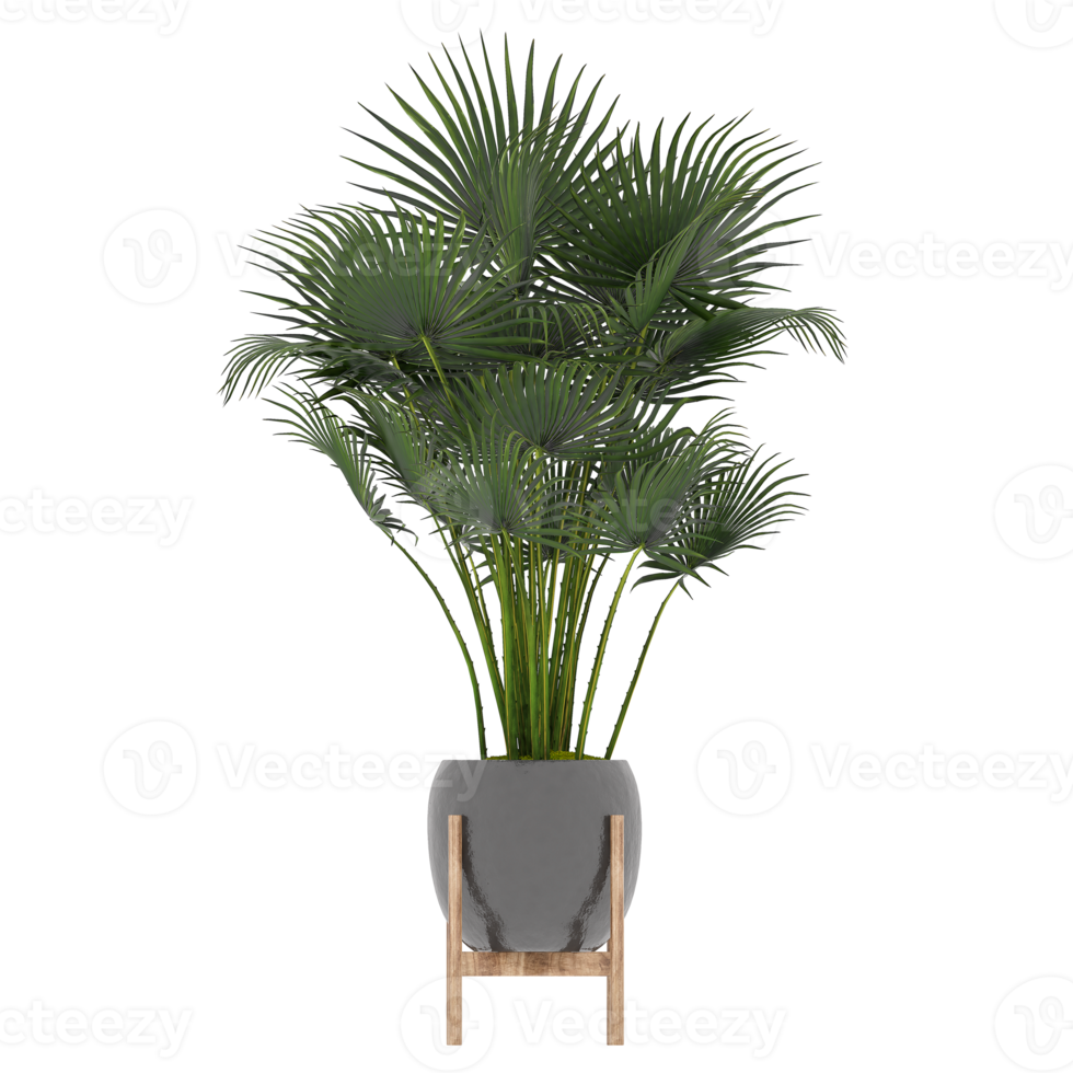 3D illustration green plant in pot png