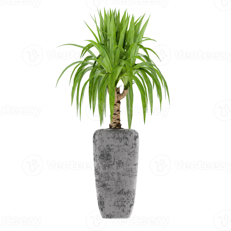 3D illustration green plant in pot png