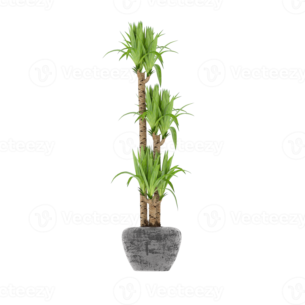 3D illustration green plant in pot png