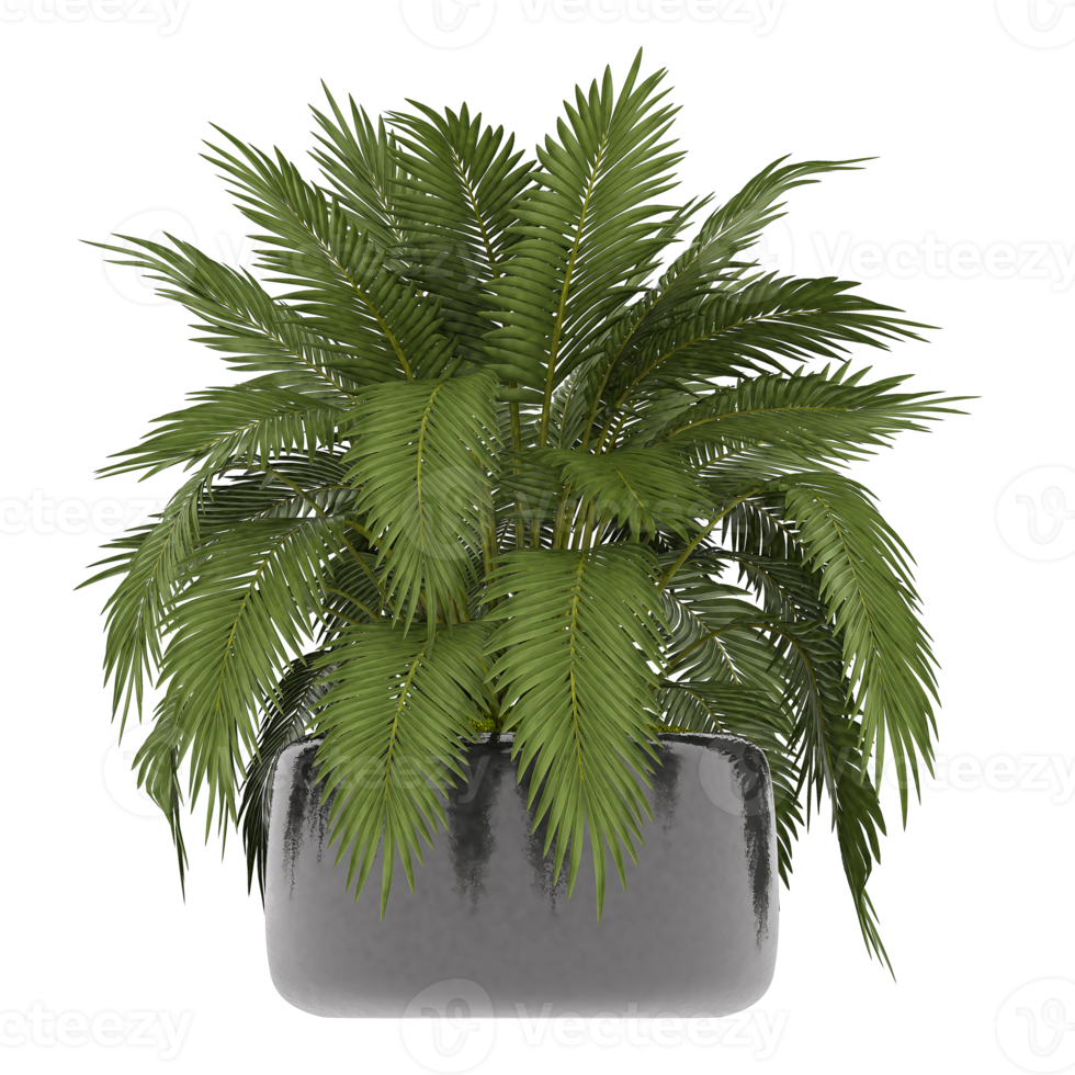 3D illustration green plant in pot png