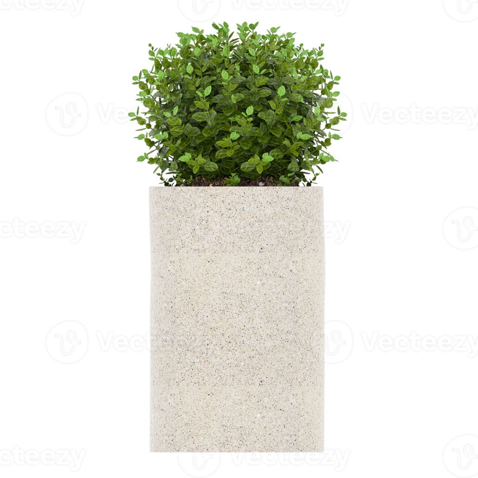 3D illustration green plant in pot png