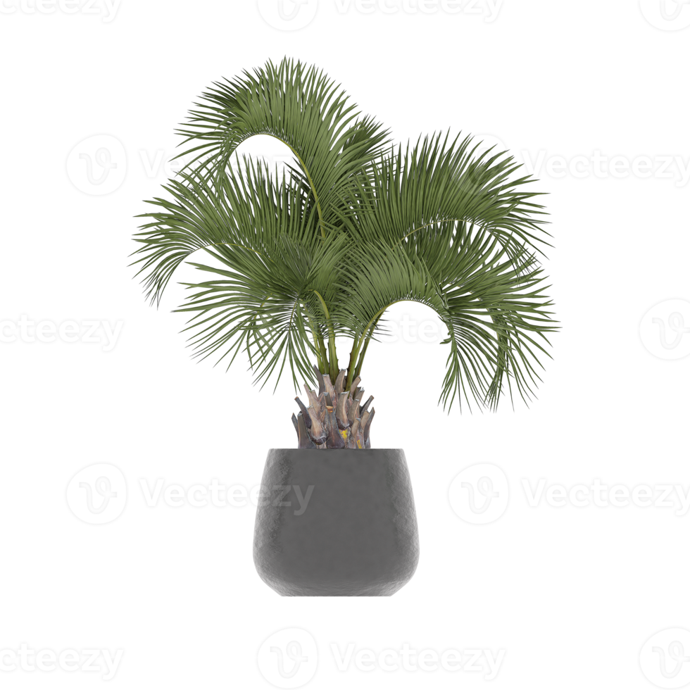 3D-Darstellung Grüne Pflanze im Topf png