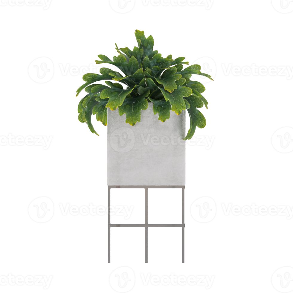 3D illustration green plant in pot png