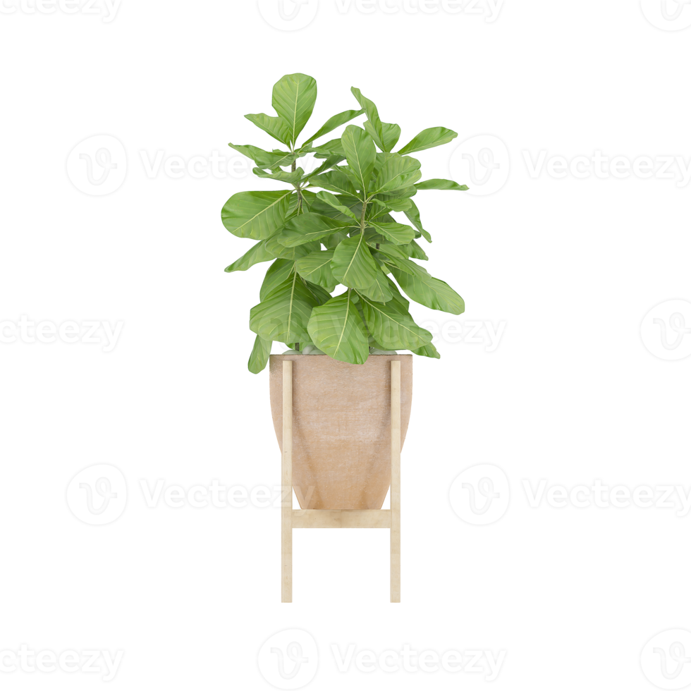 3D illustration green plant in pot png