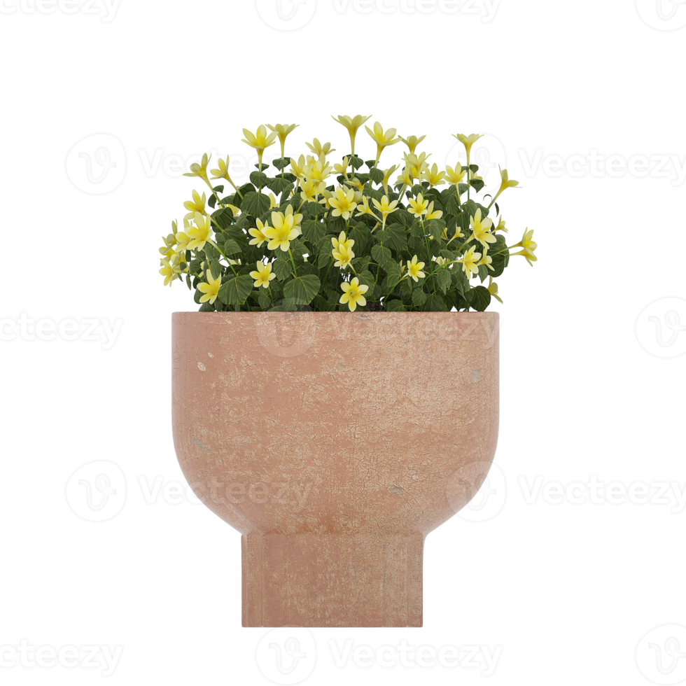 3D illustration green plant in pot png