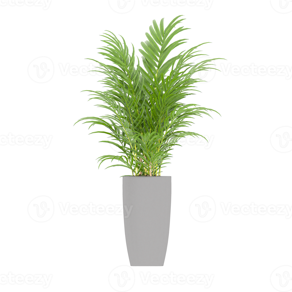 3D illustration green plant in pot png