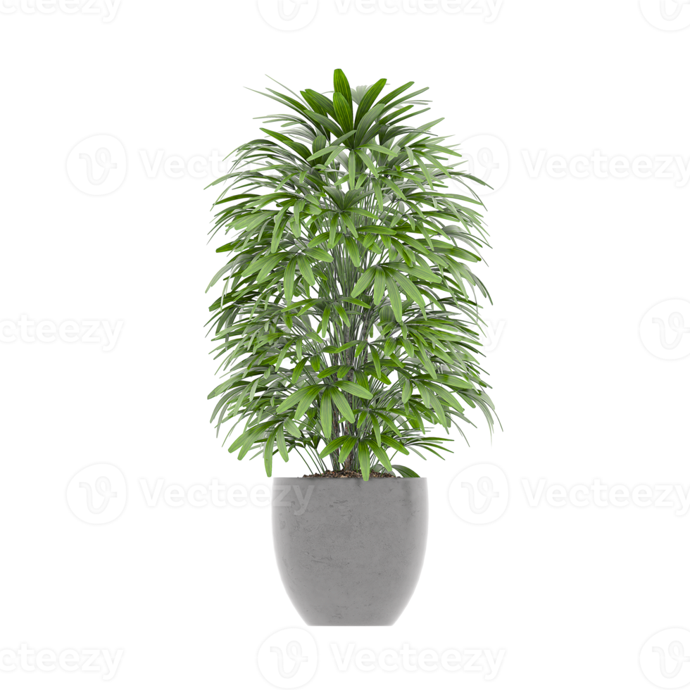 3D illustration green plant in pot png