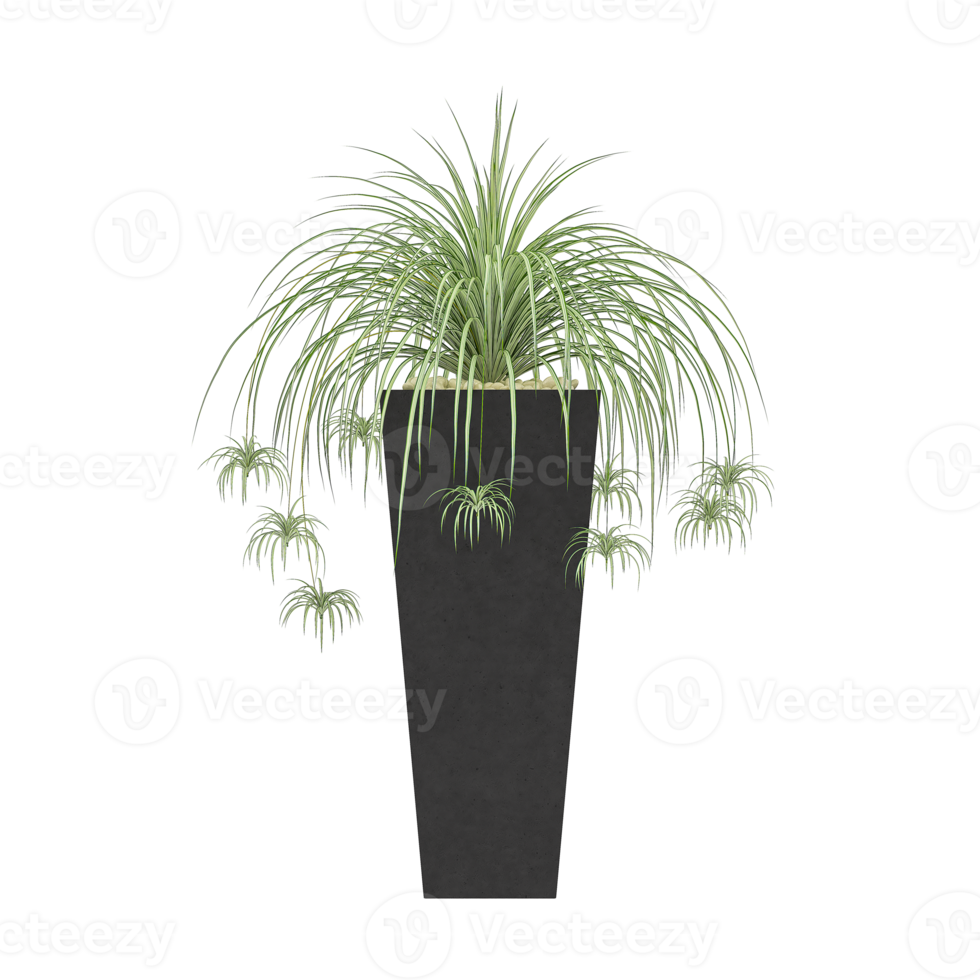 3D illustration green plant in pot png