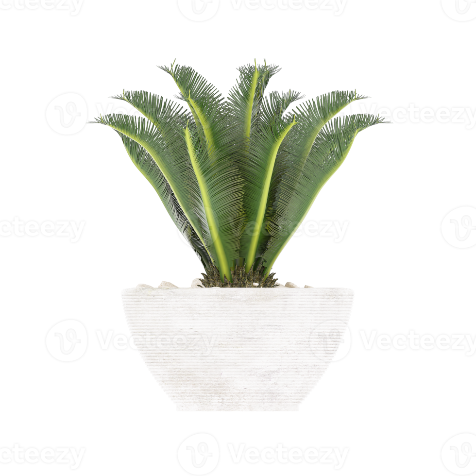 3D illustration green plant in pot png