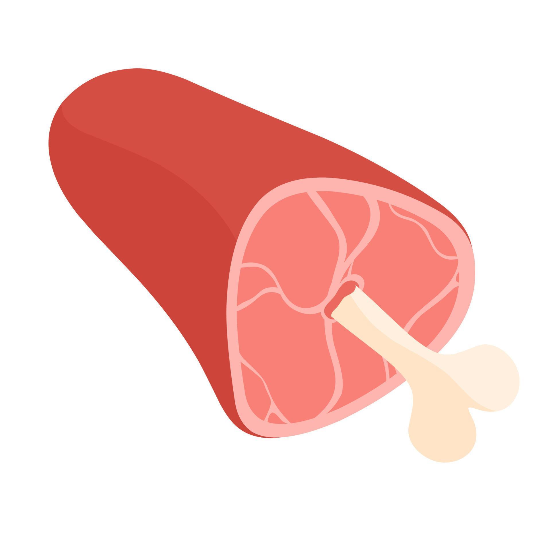 Meat on the bone. Vector icon. Isolated on a white background. Great