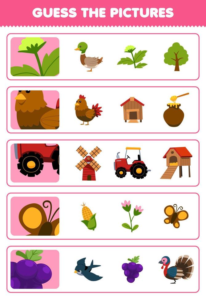 Education game for children guess the correct pictures of cute cartoon flower chicken tractor butterfly grape printable farm worksheet vector
