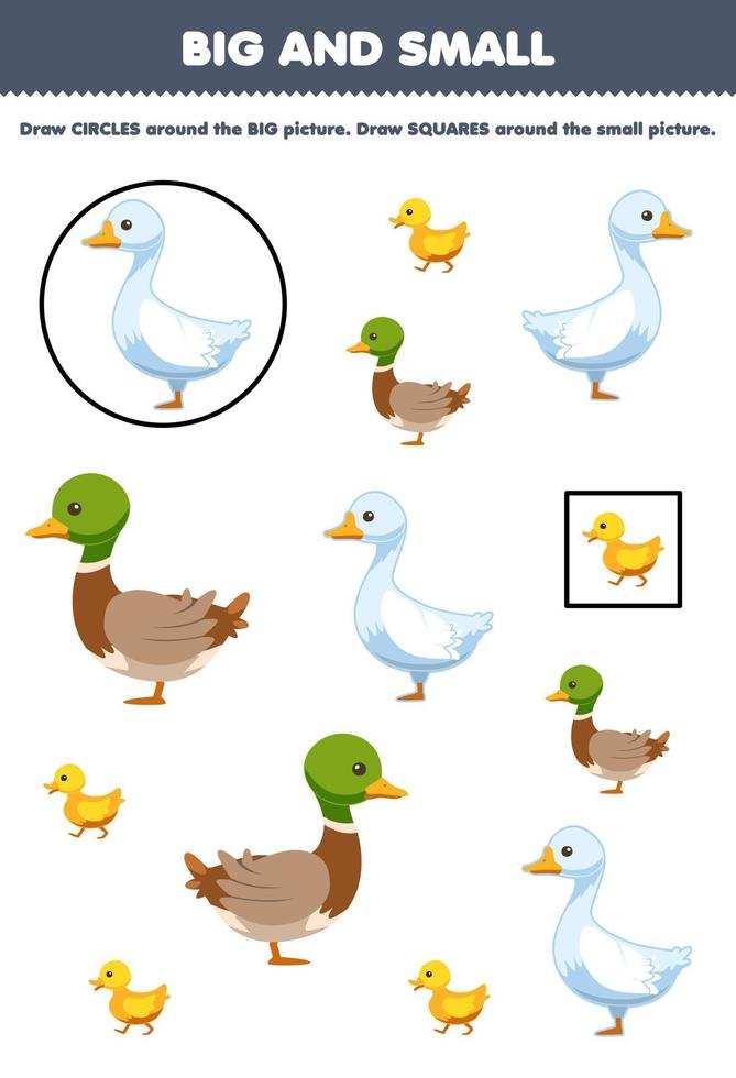 Education game for children arrange by size big or small by drawing circle and square of cute cartoon goose duck duckling printable farm worksheet vector