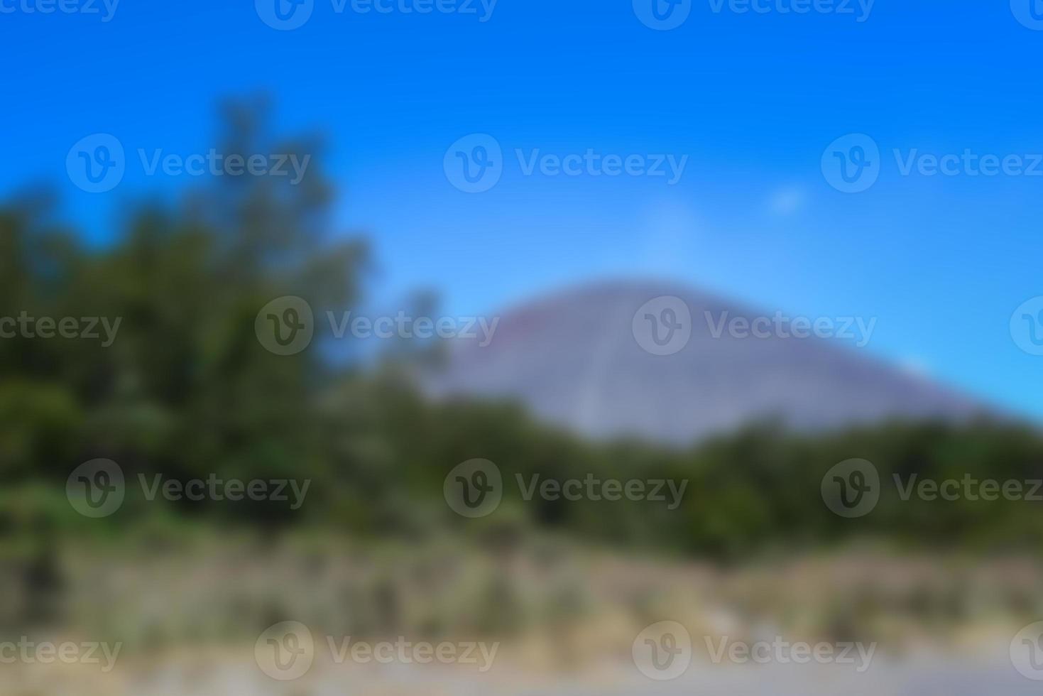 blur view of meadow in summer, with a view of dry grass. Blurred background photo