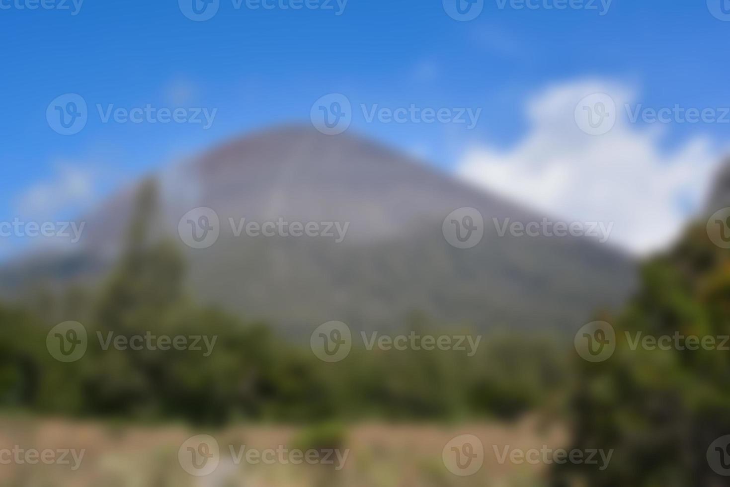 blur view of meadow in summer, with a view of dry grass. Blurred background photo