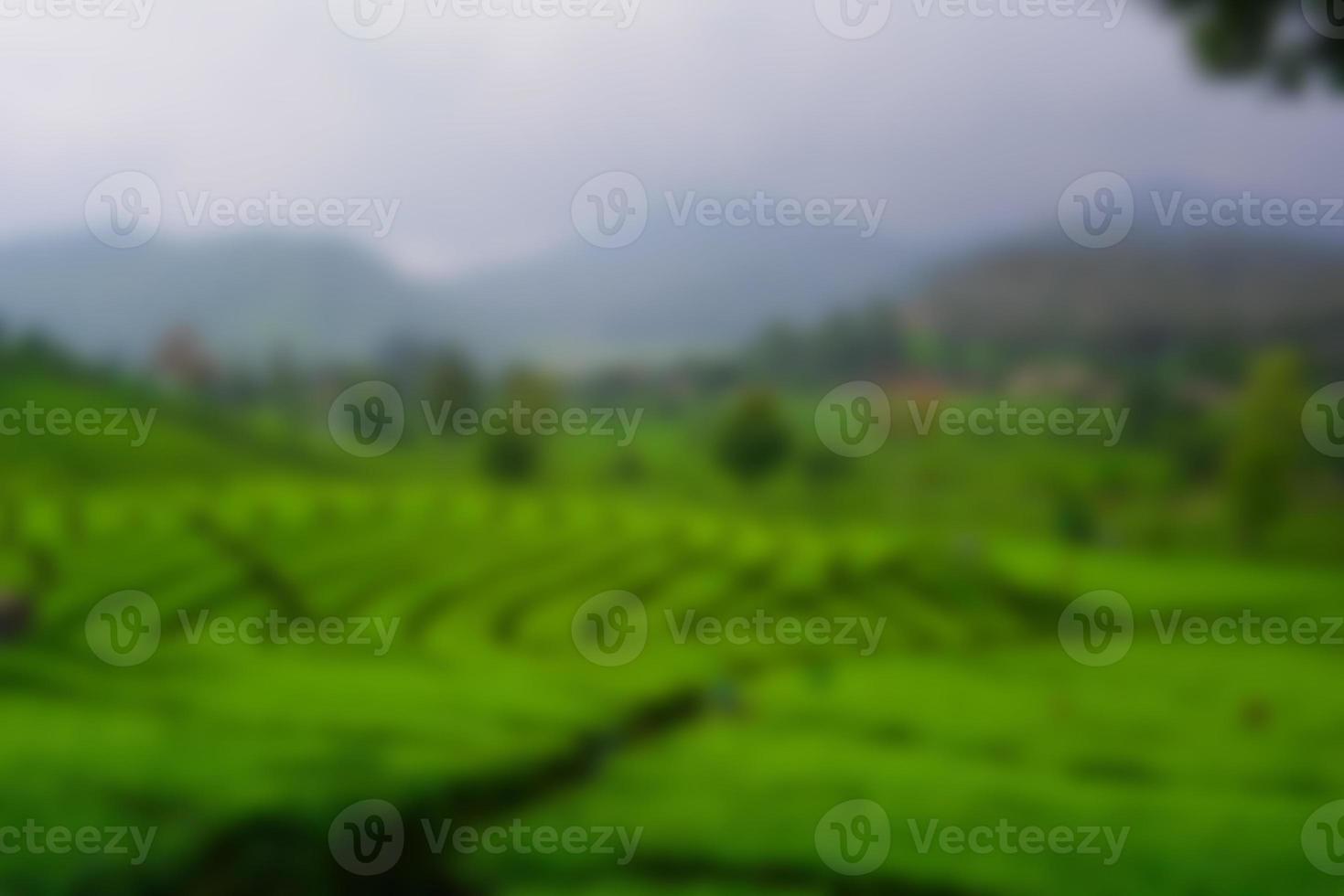 Tea garden view with cloudy clouds. Green nature blured background for your text photo