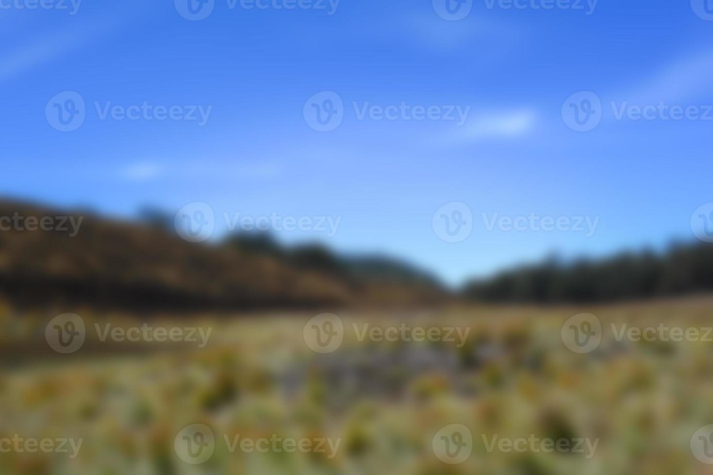 blur view of meadow in summer, with a view of dry grass. Blurred background photo