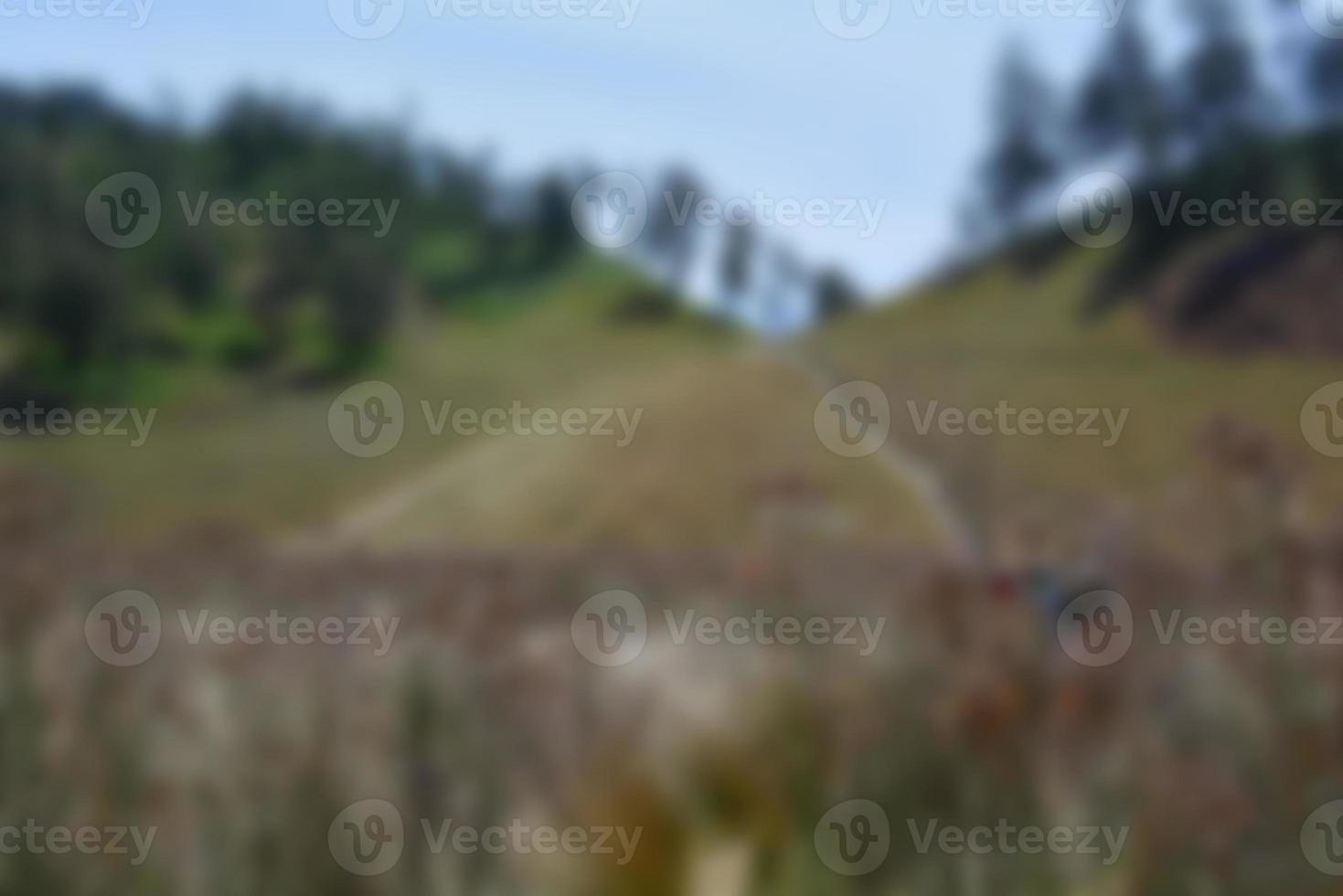 vista borrosa de la pradera en verano, con vistas a la hierba seca. fondo borroso foto