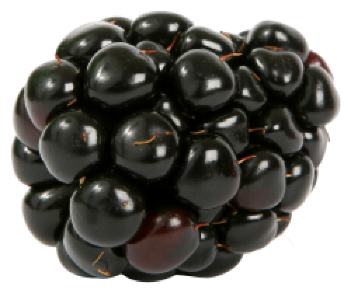 cut out of blackberry fruit png