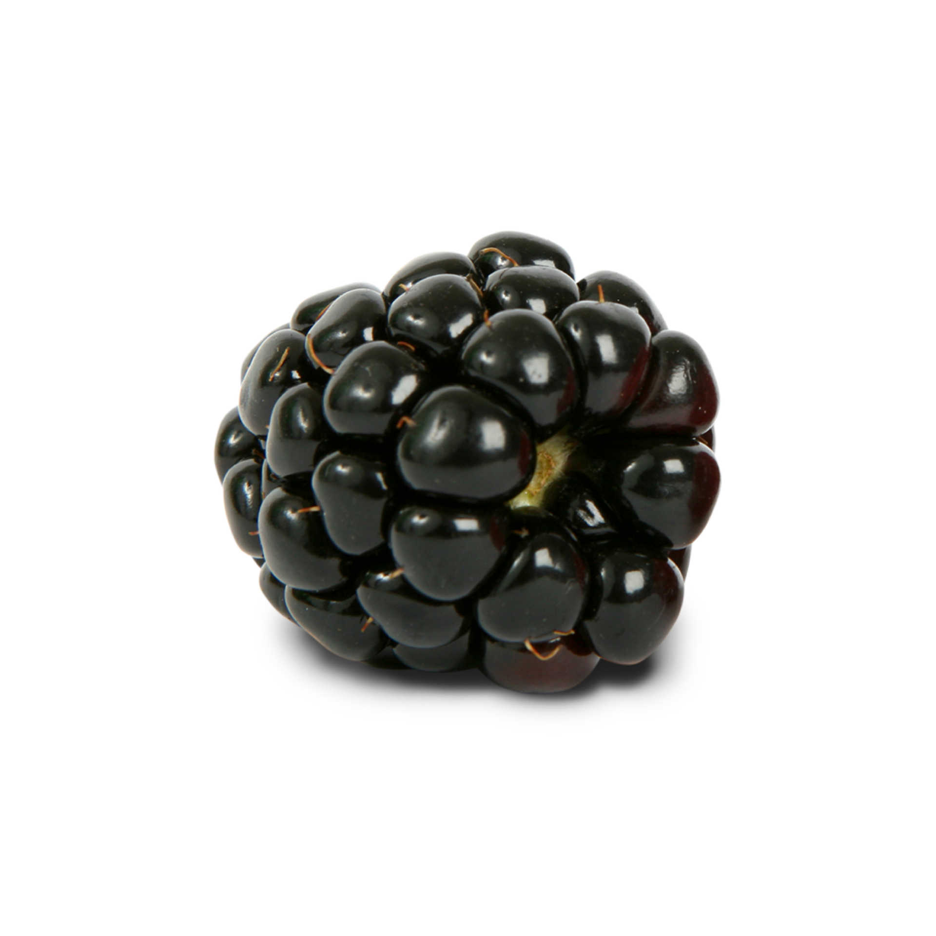 cut out of blackberry fruit 12596124 PNG