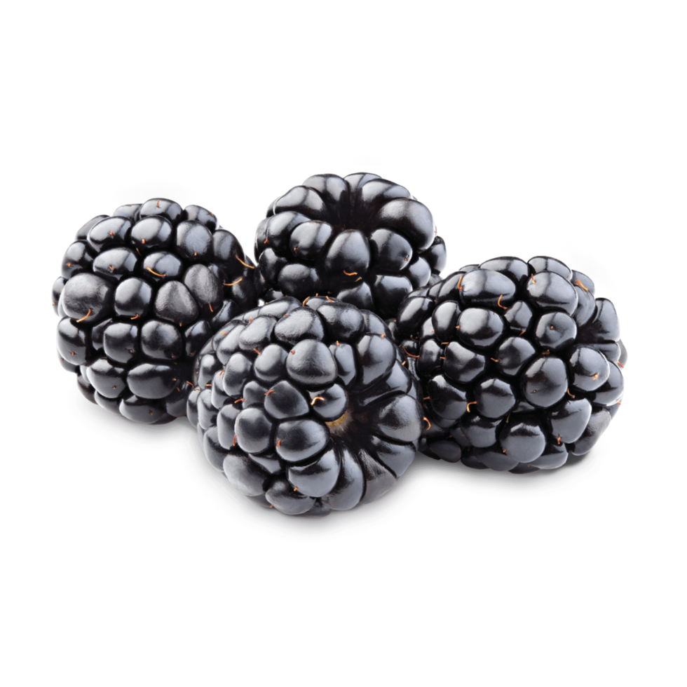 cut out of blackberry fruit png