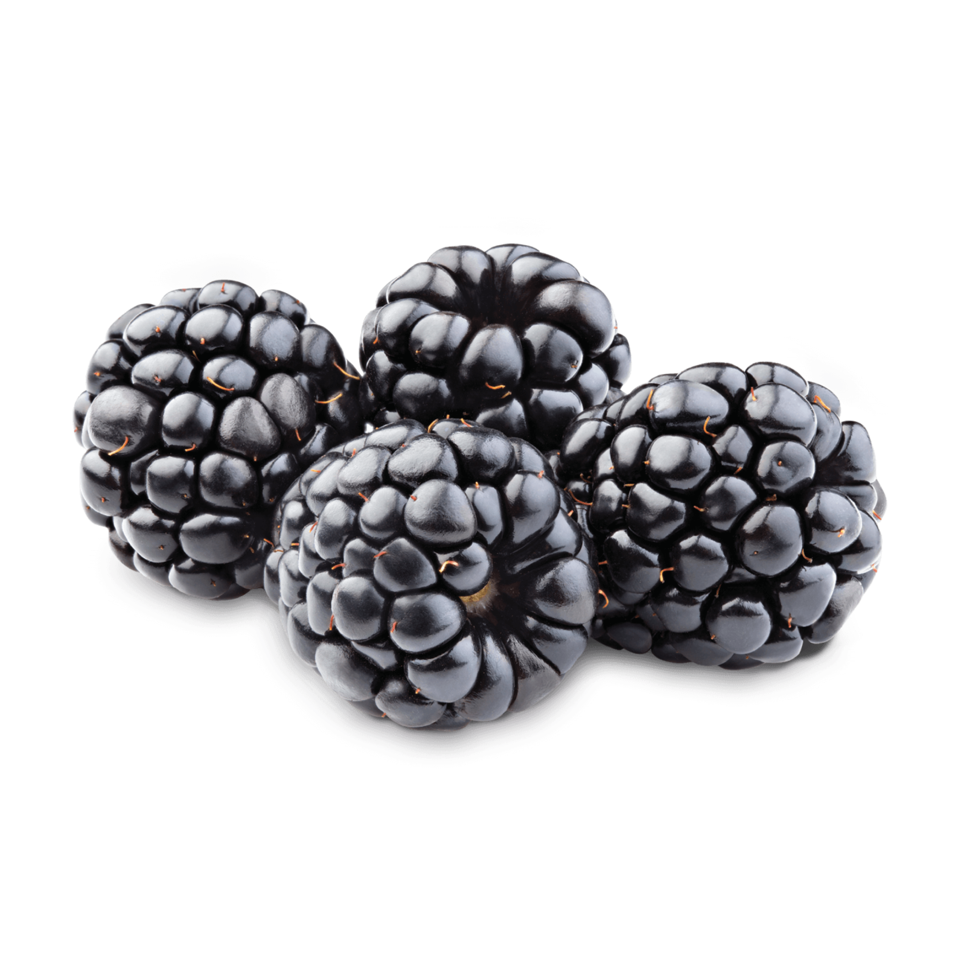cut out of blackberry fruit 12596126 PNG