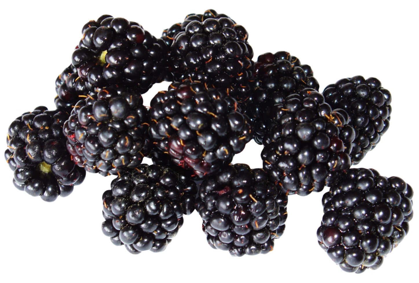 cut out of blackberry fruit png