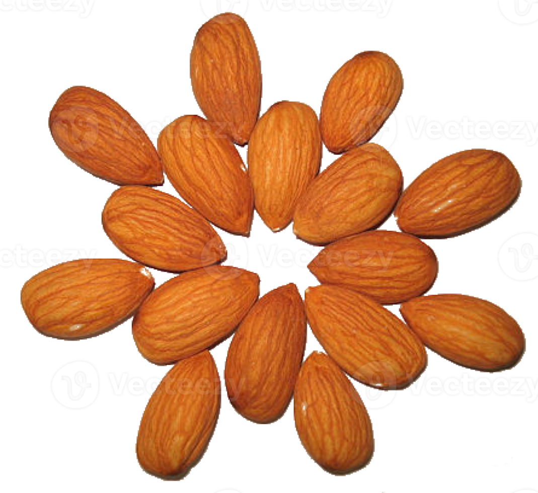 group of almond nuts concept png