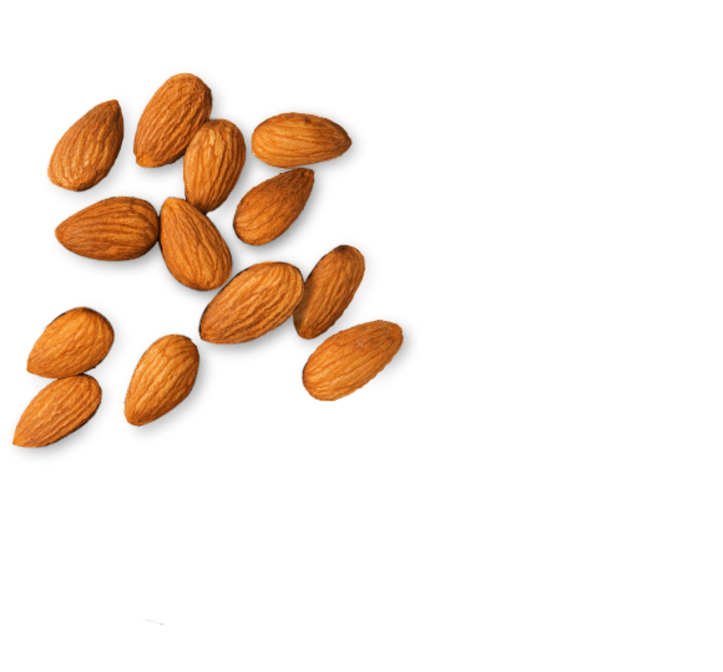 group of almond nuts concept png