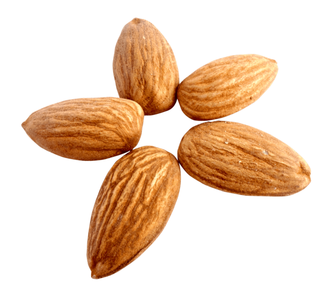 group of almond nuts concept png